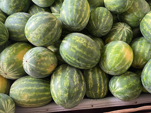 watermelons