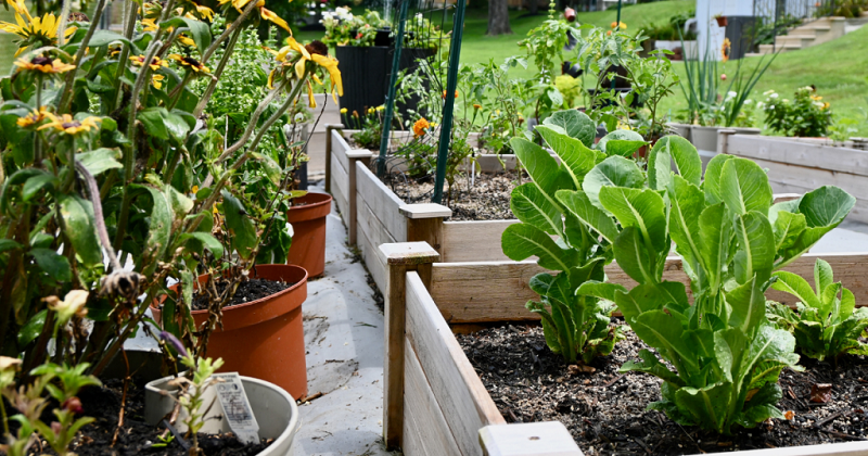 The Let's Grow Outside! initiative allows early childhood education programs to develop their own gardens with the children they serve.