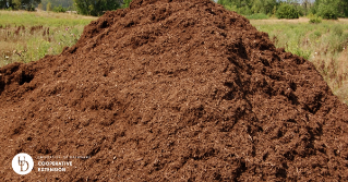A pile of manure