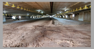 Inside a poultry house