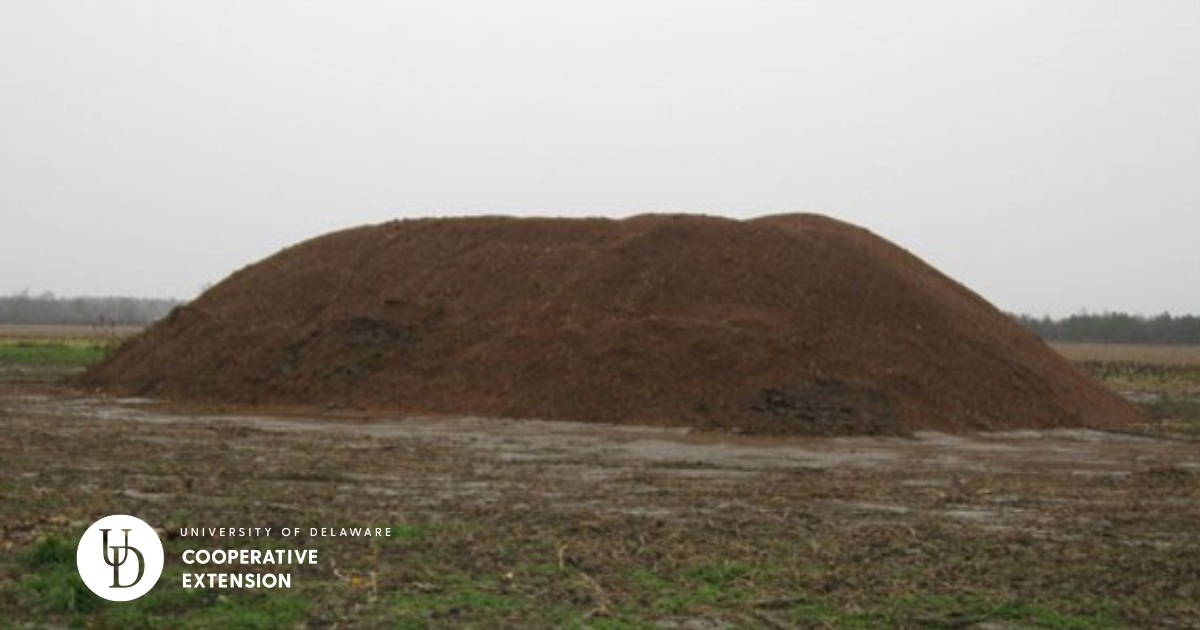 A large pile of poultry litter