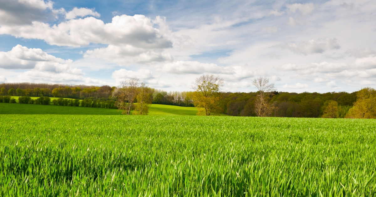 A large beautiful pasture
