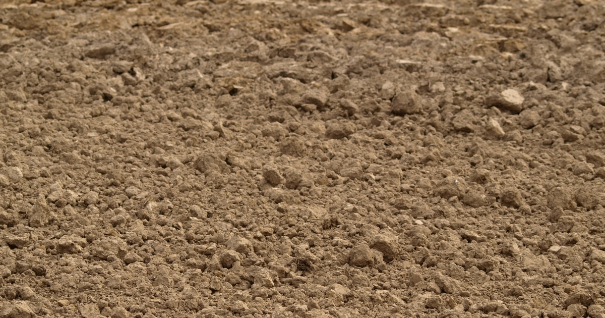 A photo of an area of soil