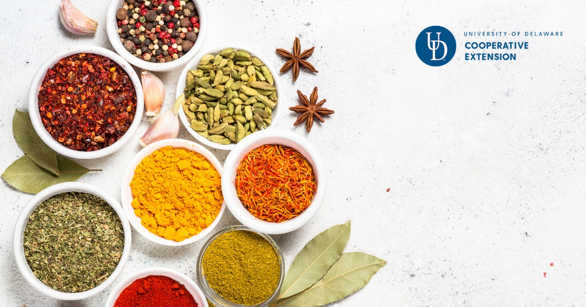A variety of herbs and spices 