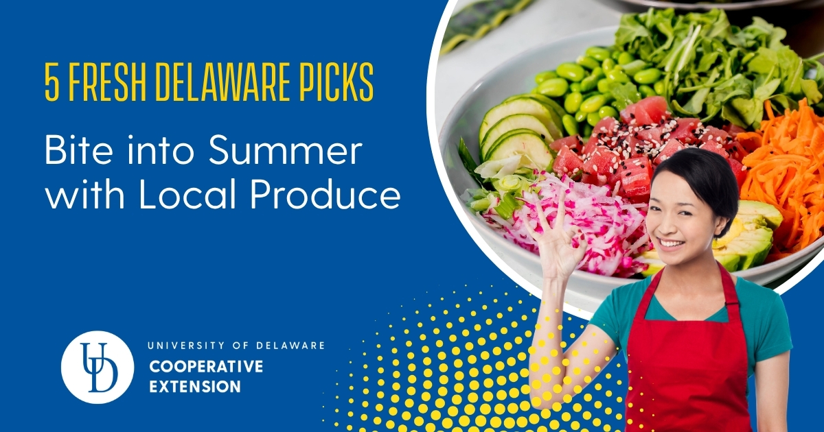 Featured image with a watermelon salad and a woman in an apron waving
