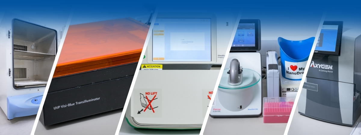 A collage of lab equipment.