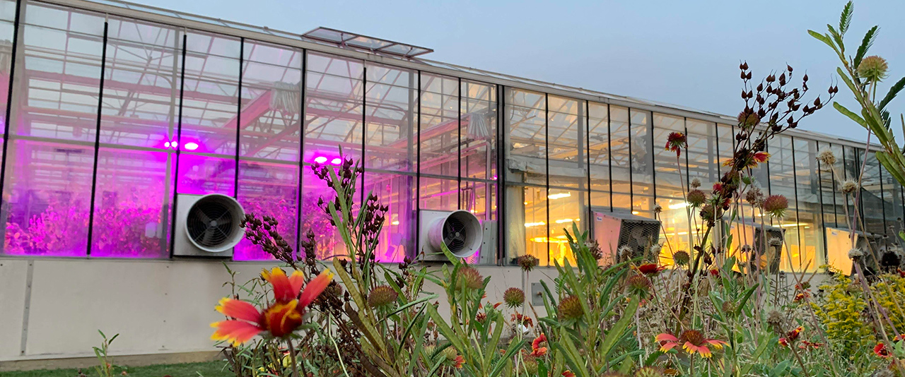 Photo of Fischer Greenhouse