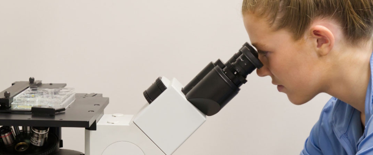 Rory Raymer peers through a microscope.