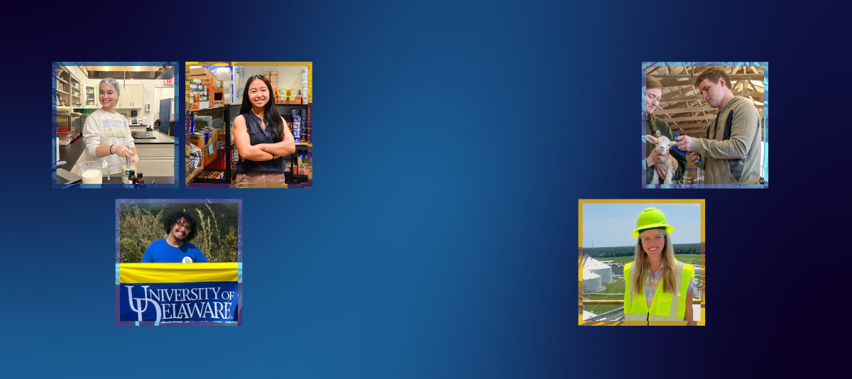 A collage of all four student stories.