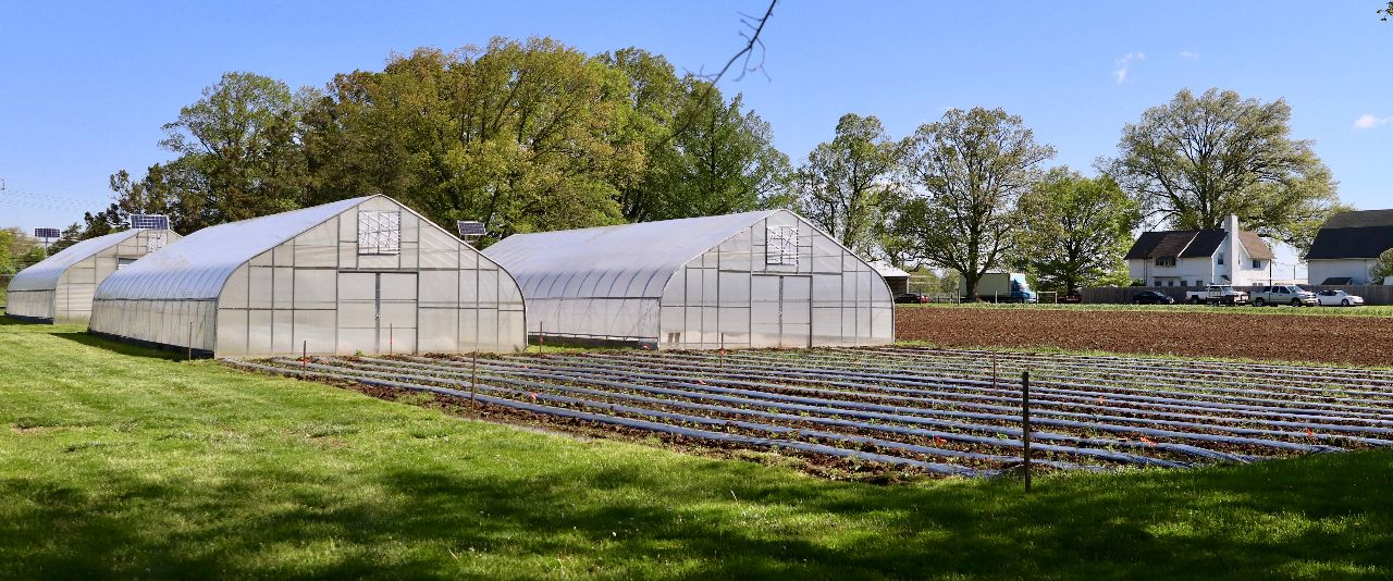 A photo of UD Newark farm high tunnels