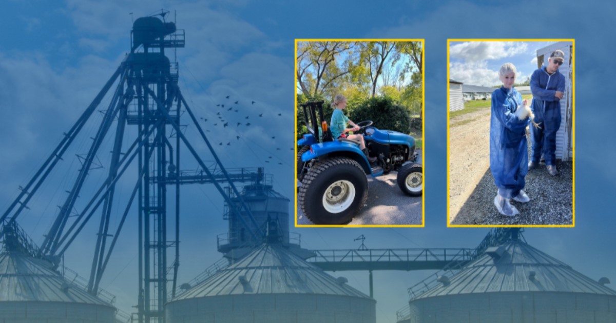 A background of grain storage bins overlaid by photos of Daisy Creel on a tractor (left) and Creel in a biosecurity suit to visit a chicken farm (right).