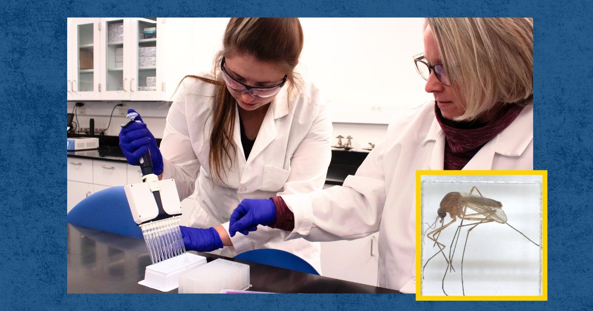 Laura Kwasnoski (left) and Erin Bernberg (right) use a machine to seqeuence mosquito genes.