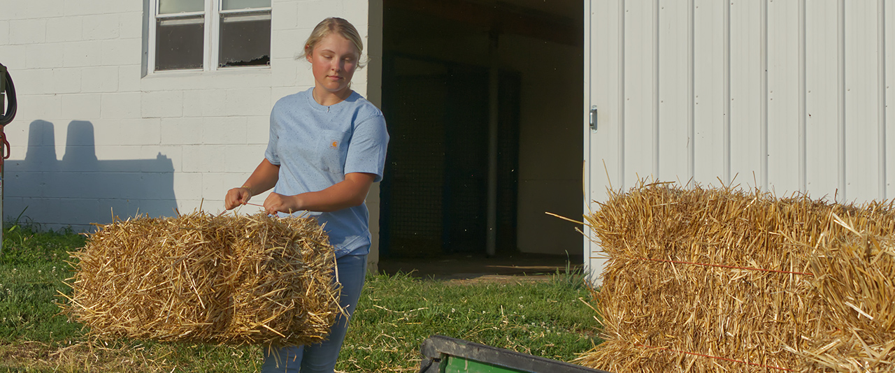 Tessa McDonough working with a bale of  hay on Webb Farm