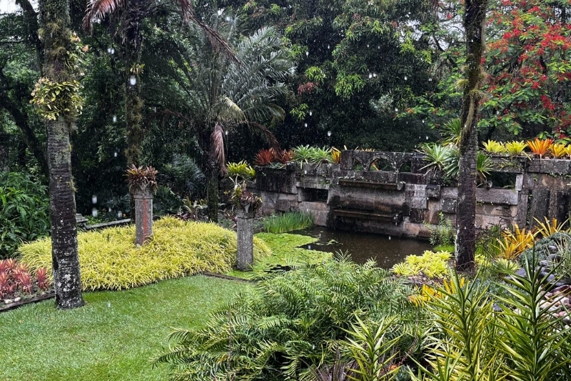 A garden outside of Roberto Burle Marx's home.