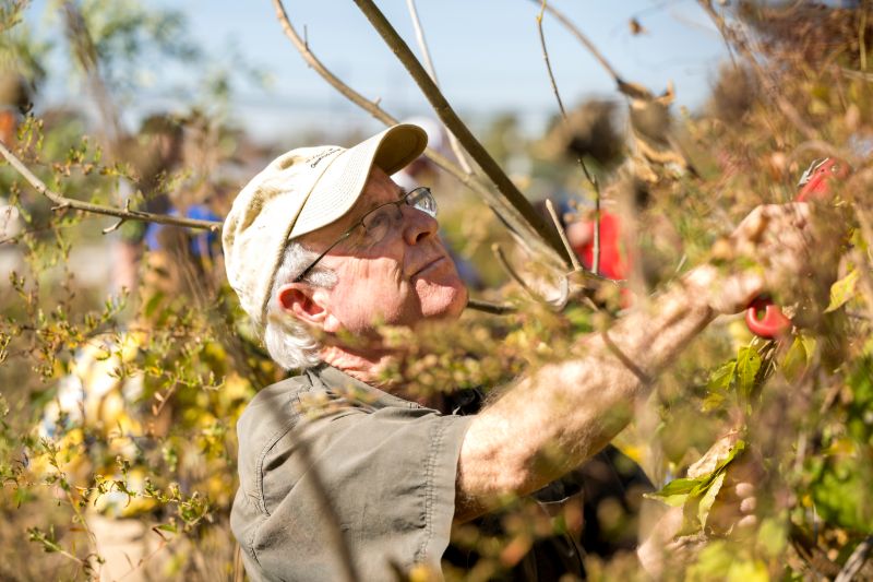 Doug Tallamy observes plants.
