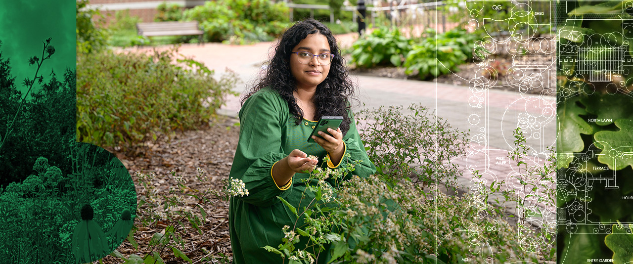 Aleena Sabir squats down to identify a plant. She holds a plant in her hand while identifying it with a phone app.