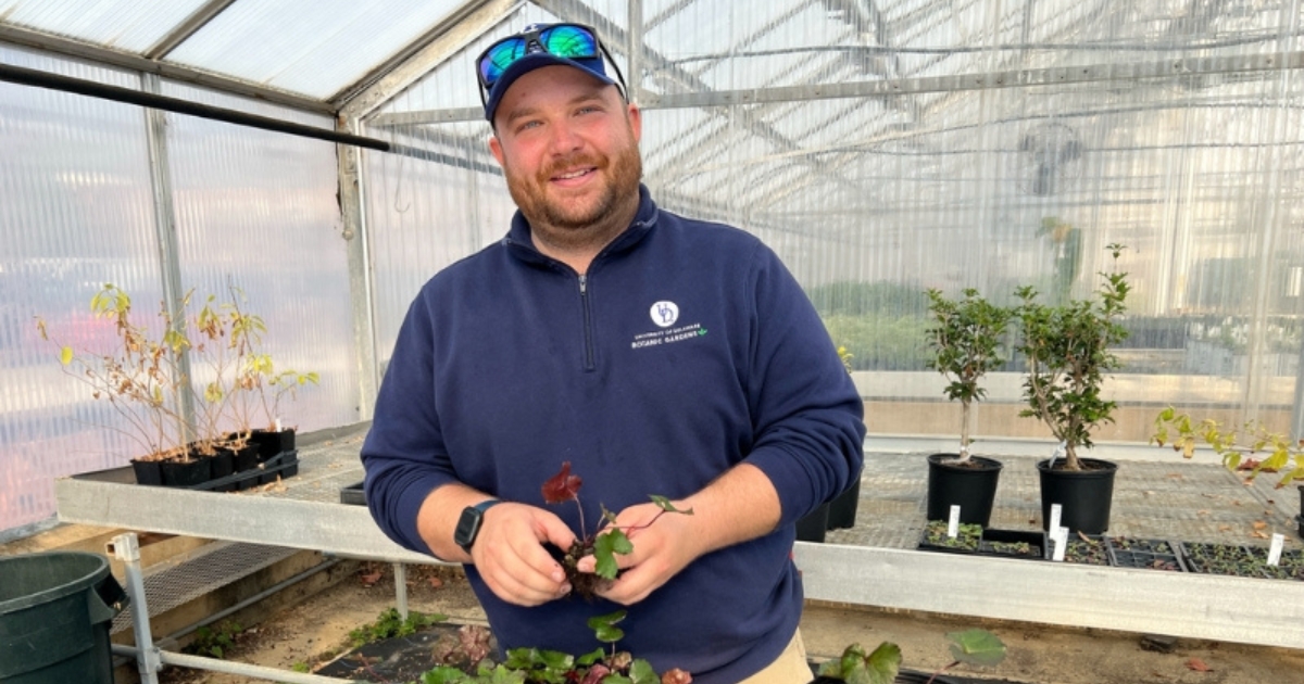 Andrew Adams stands in a greenhouse holding a plant.