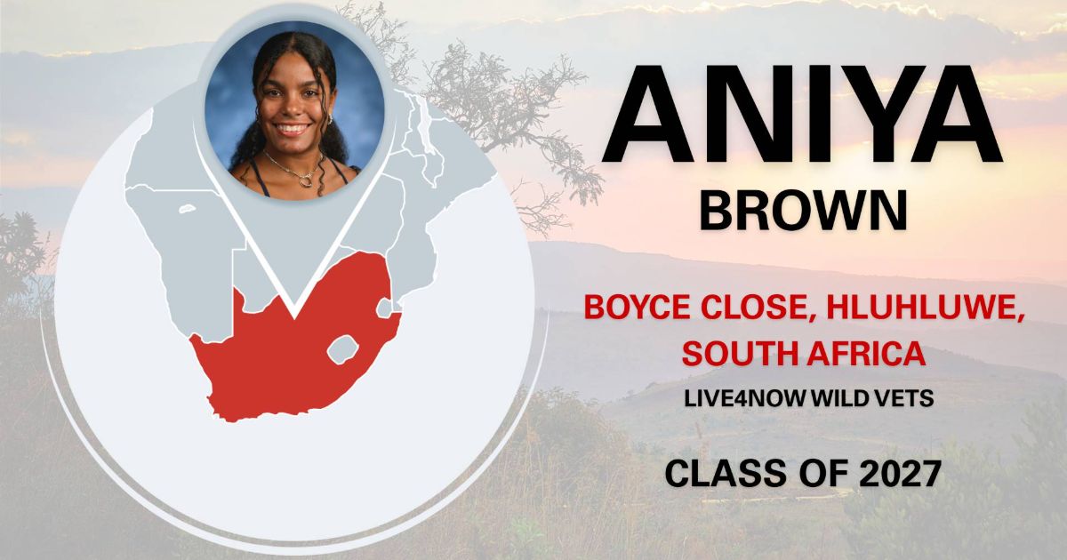 A graphic featuring Aniya Brown.