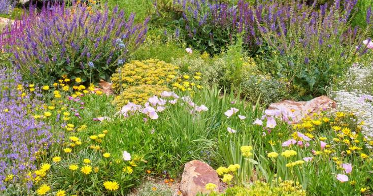 A garden filled with different kinds of perennial plants.