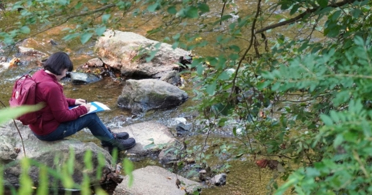 A student sits and takes notes sitting on a rock in a pond.