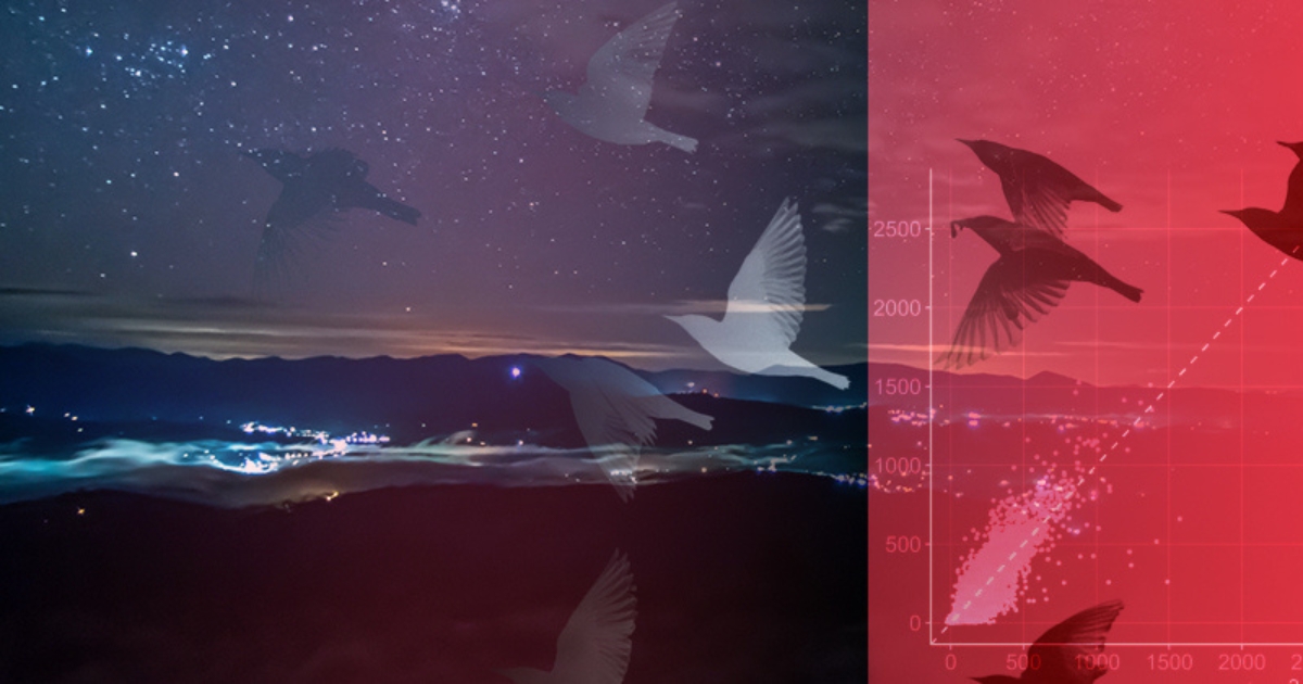 A composite photo of birds, nighttime and artificial light.