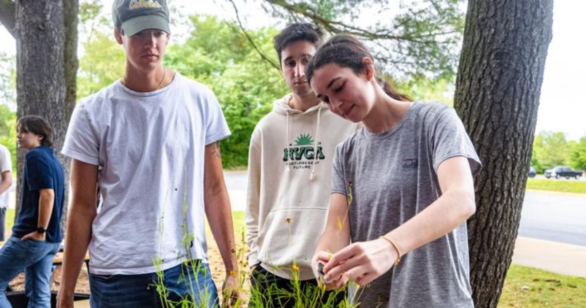 University of Delaware student demonstrates how to care for plants in the garden.