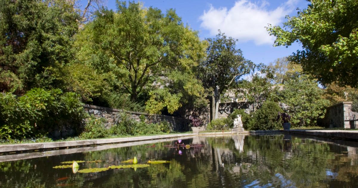 A landscape featuring water, trees and sky.