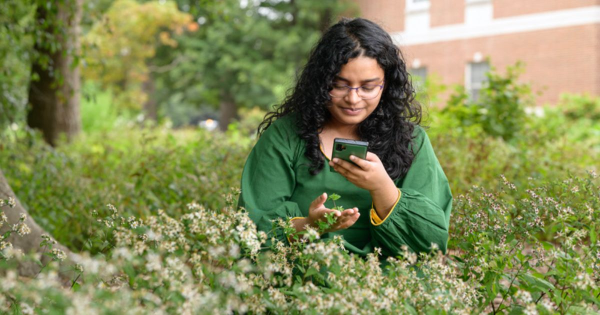 Aleena Sabir looks down at a plant holding the plant in her hand while holding her phone to identify the plant.