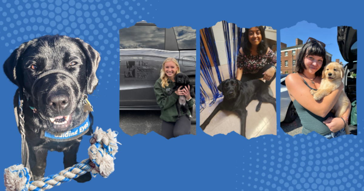 A composite image of service dogs and students with a blue background around the pictures.