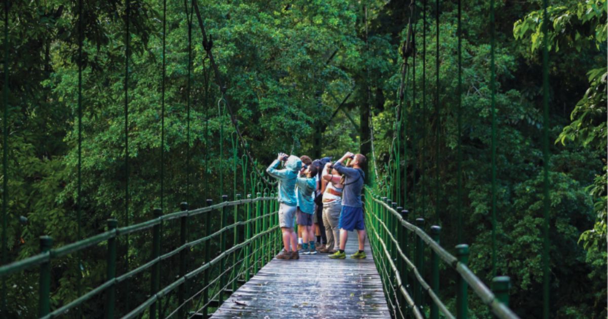 Students hold up binoculars while on a bridge and use the binoculars to try to spot a bird in the trees.