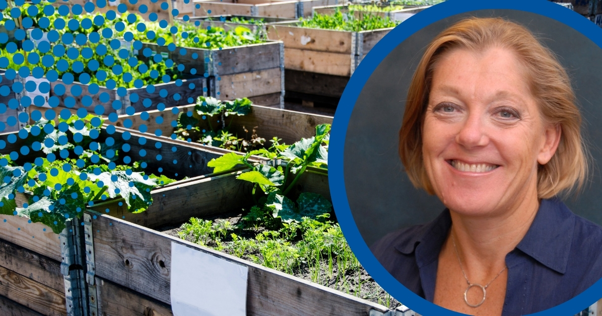 Sue Barton's headshot in front of an urban garden scene.