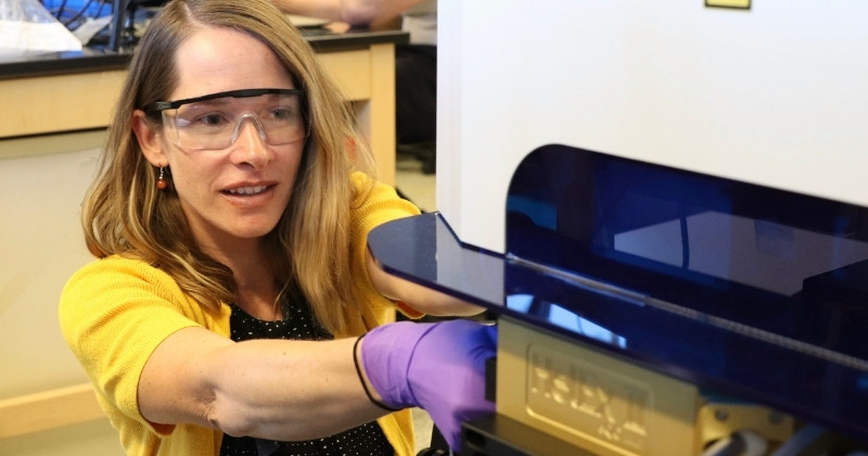 Angelia Seyfferth uses the LAICP/MS to analyze arsenic and cadmium uptake in rice. The instrument is a Teledyne Laser Ablation coupled to a Thermo TQ (tripple quad) inductively coupled plasma mass spectrometer. The system also has an ion chromatograph.