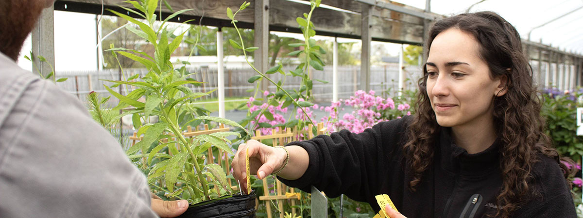 Students work in the greenhouse.