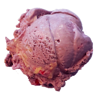 A scoop of Botanic Berry