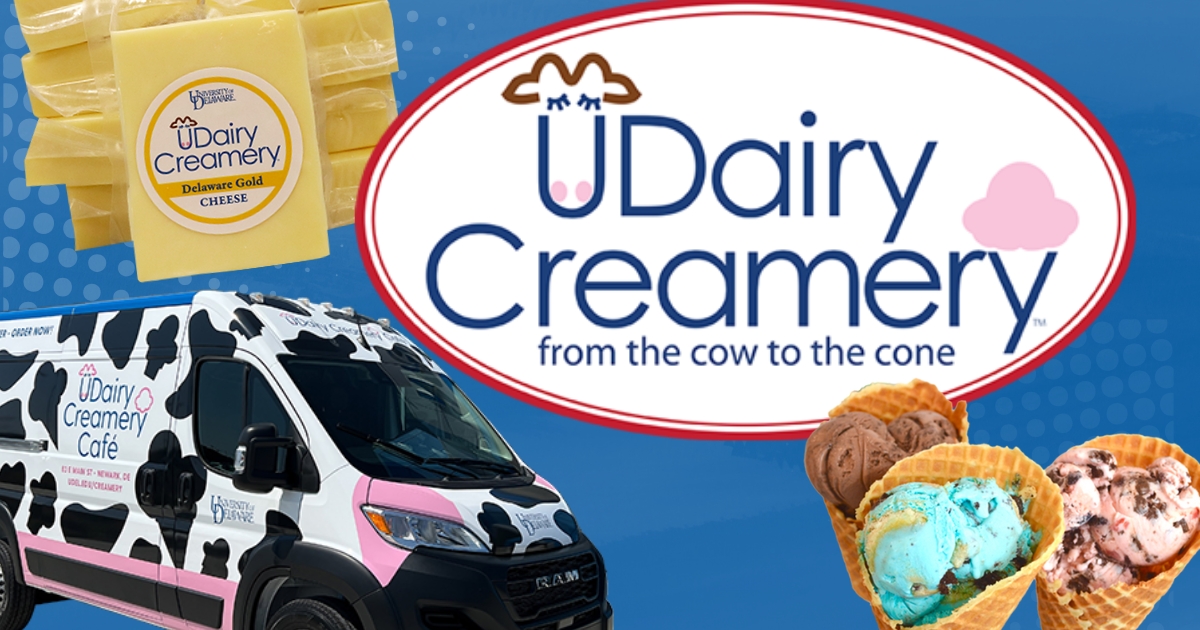 A composite image of UDairy ice cream, cheese and milk.