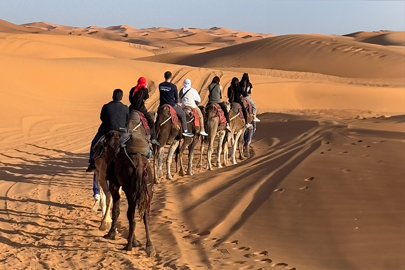 Students riding on the backs of camels through a desert