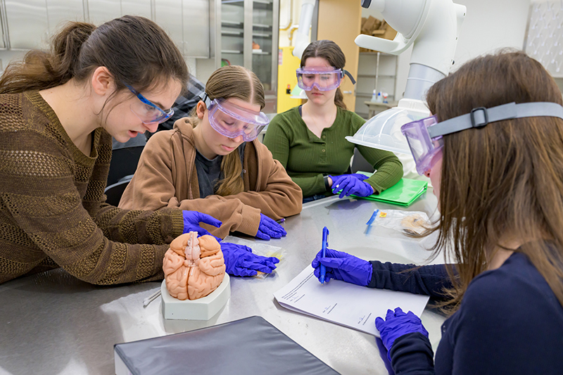 A group of students wearing blue latex gloves and safety glasses conduct an experiment in a laboratory.