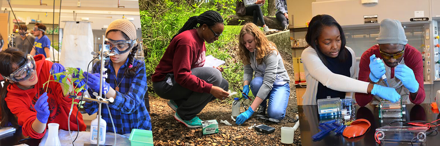 Collage of college students participating in problem-based hands-on learning in lab settings both indoors and outdoors