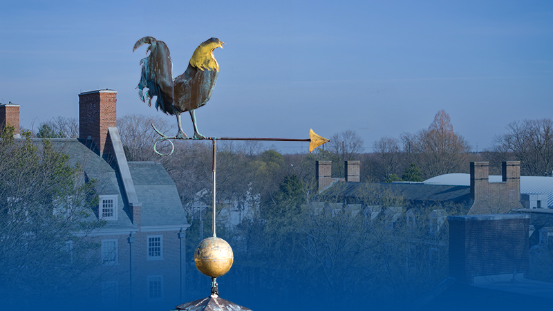 Hen ornament on top of a roof steeple