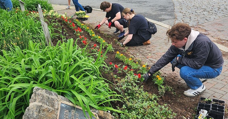 people planting flowers