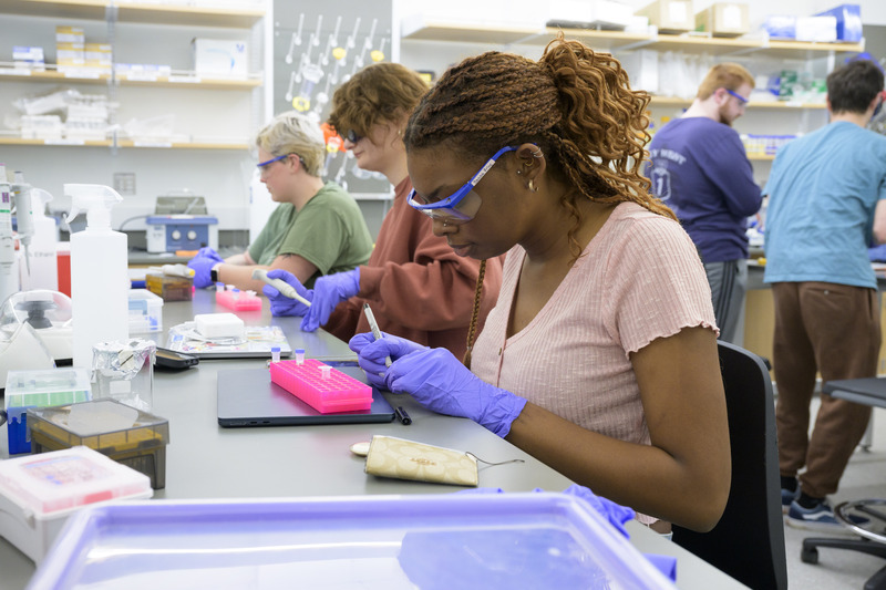 The College of Arts and Sciences cultivates technical skill, adaptability, creativity and empathy to ensure that every student and scholar reaches their full potential.