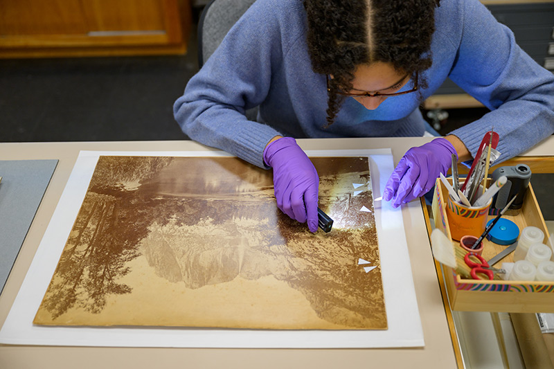 Michaela Lot wearing purple gloves carefully treating a historic piece of art