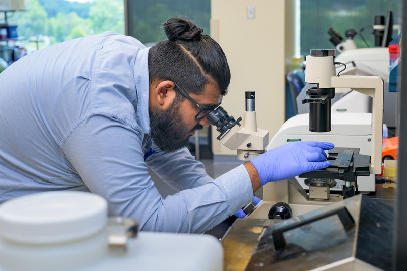 Senior Atif Bacchus looking into a microscope in a lab setting wearing blue latex gloves