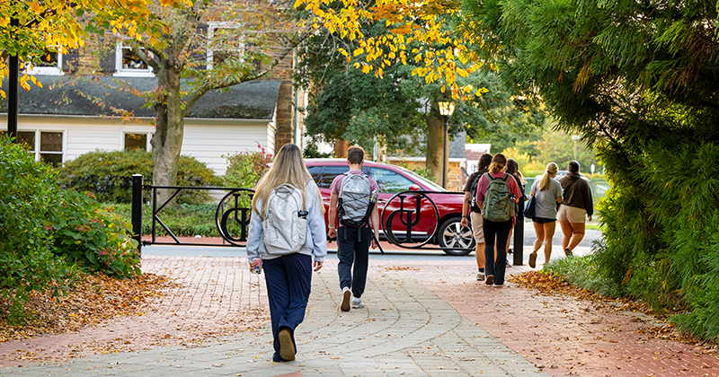 College students walk along a tree-lined brick pathway.