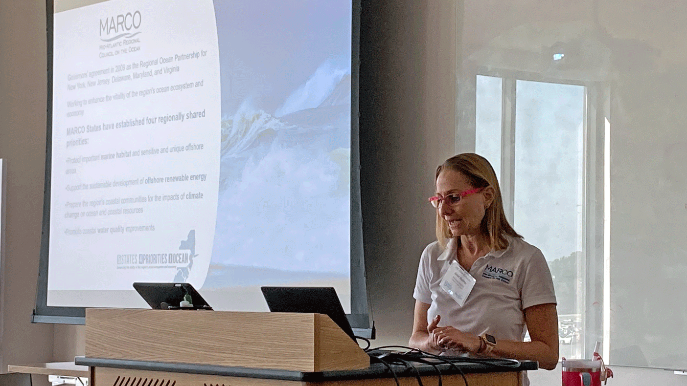 Delaware Sea Grant holds marine carbon dioxide removal workshop and symposium