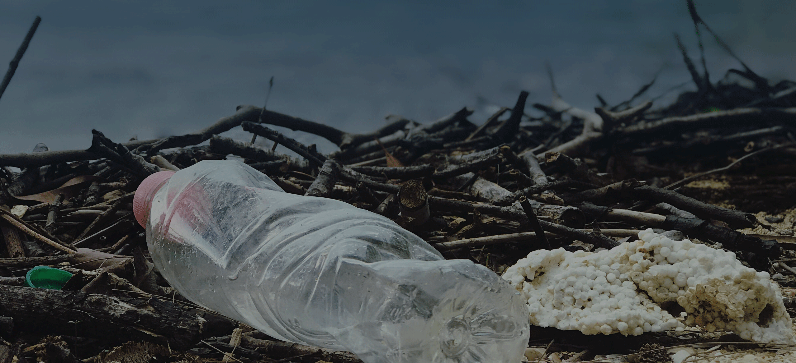 Marine debris
