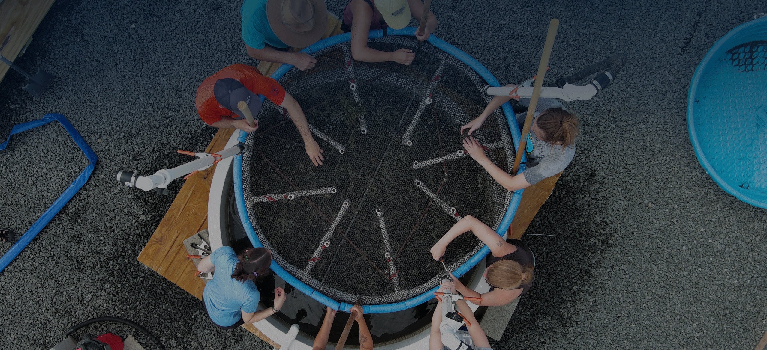 Giving Tuesday for DESG