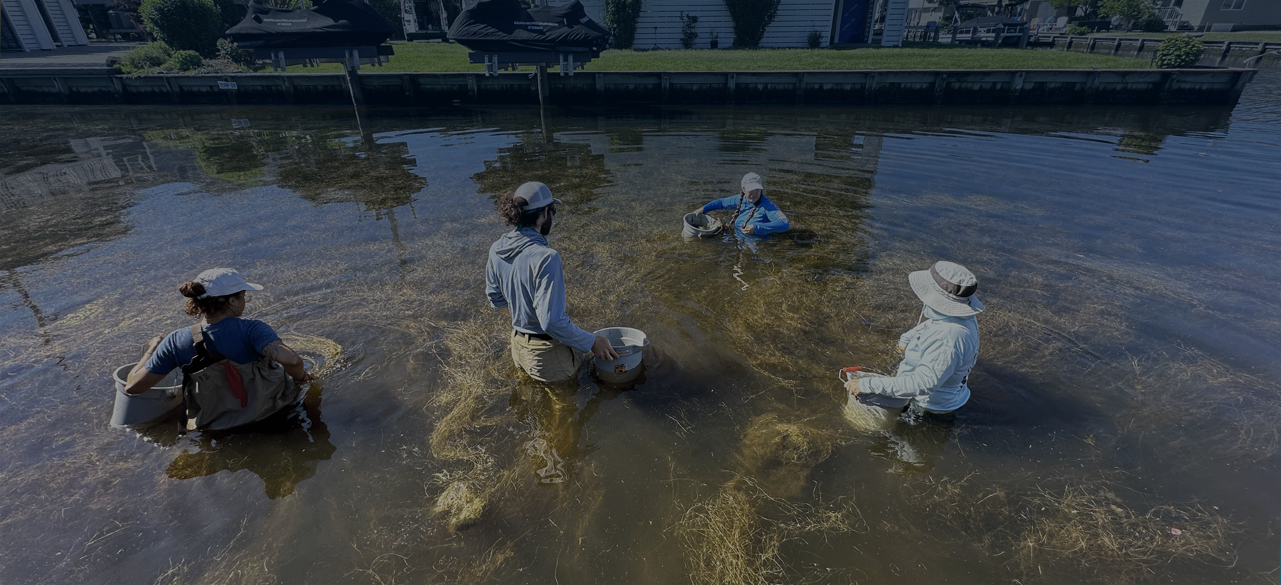 Delaware Sea Grant works with residents to address submerged aquatic vegetation in South Bethany canals