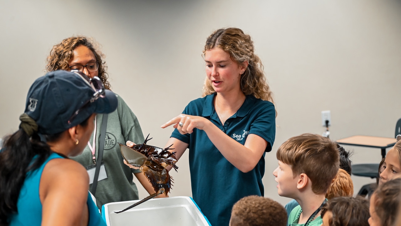 DESG intern Alexandra Dugan instructing students on the anatomy of a horseshoe crab