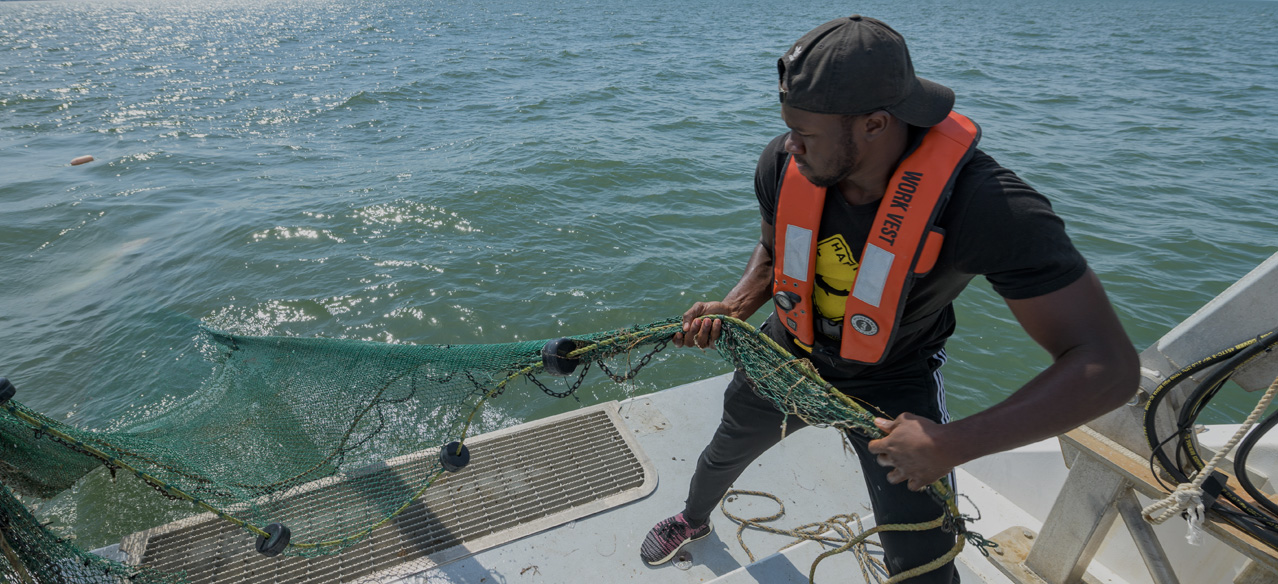 Student in UD's REU program helps pull in a trawl net on a research trip